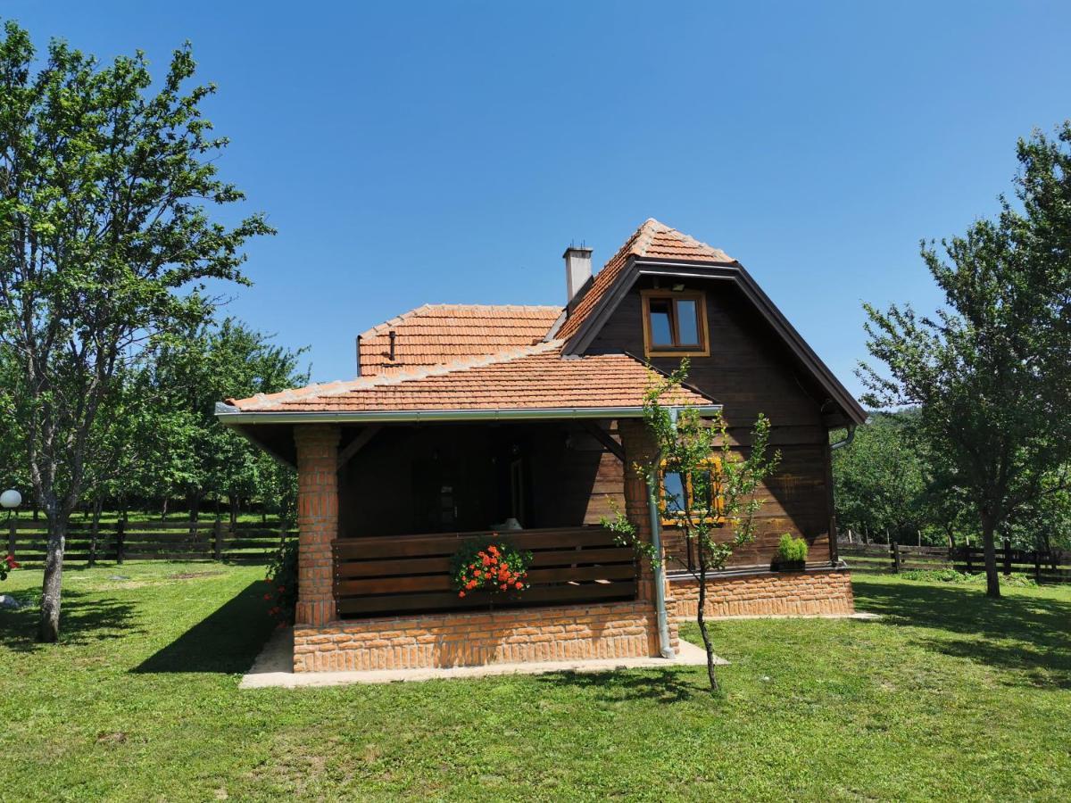 דירות Užice Seosko Domacinstvo Bondzulic מראה חיצוני תמונה